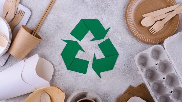 Imballaggi e Monouso Bio per Take-Away- Sostenibilità Incontra Convenienza